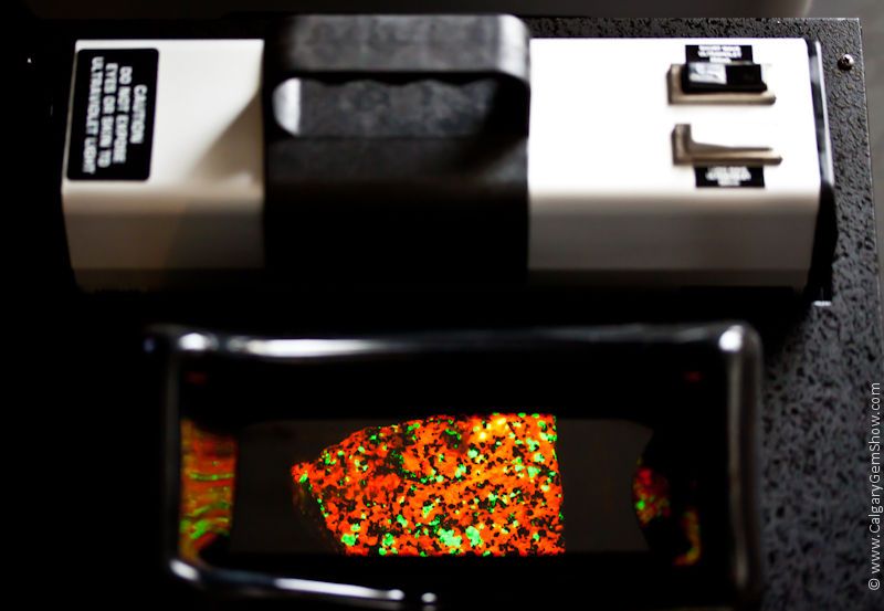 UV Lamp with rock
